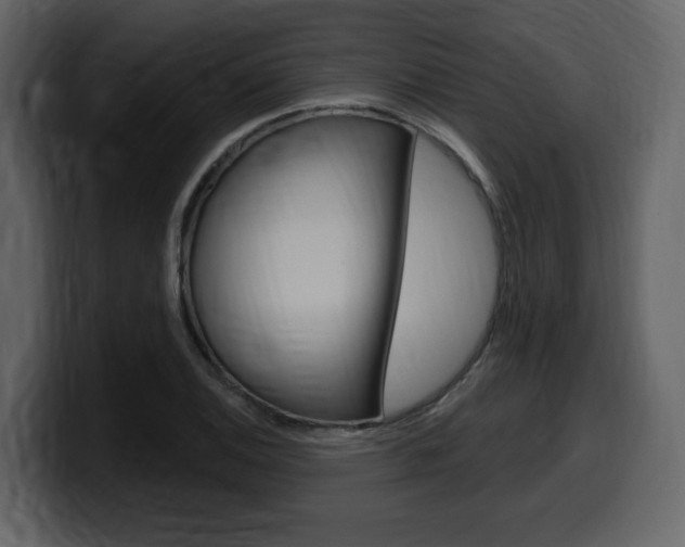 X0000099581124200805160740