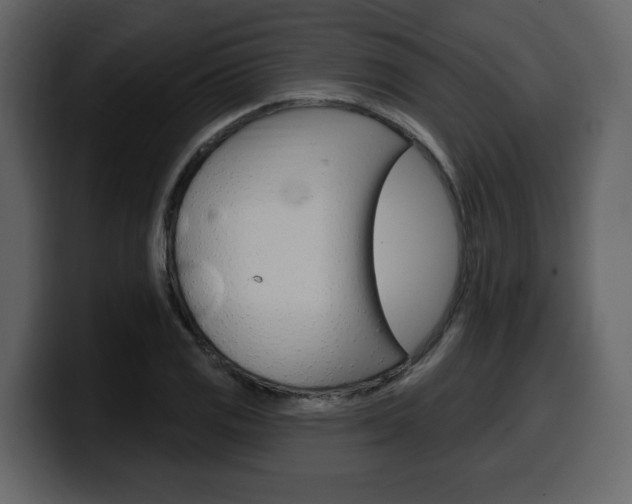 X0000099581125200805160740