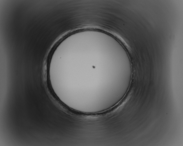 X0000099581126200805160740