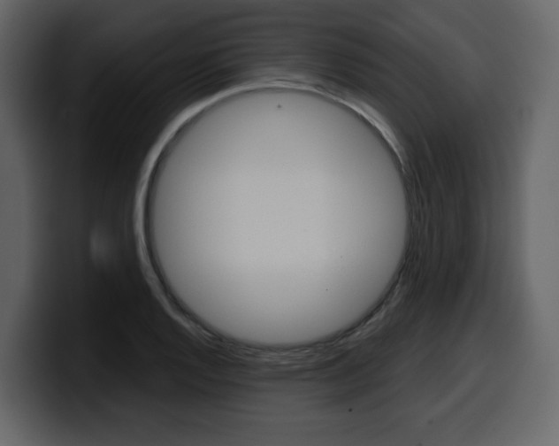 X0000099581128200805160740