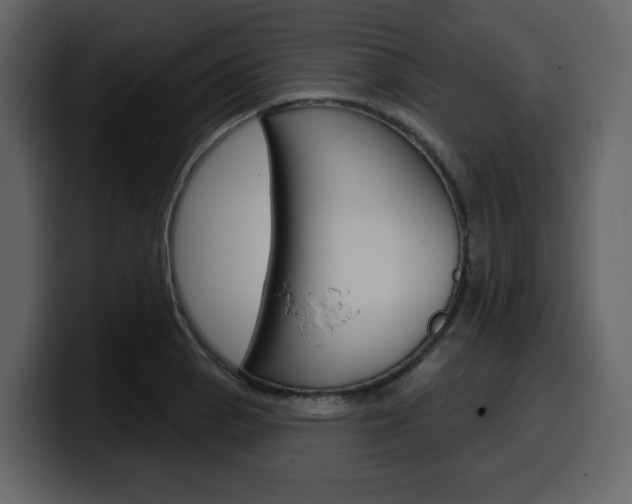 X0000099581129200805160740