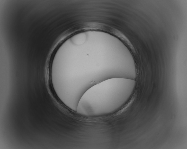 X0000099581130200805160740