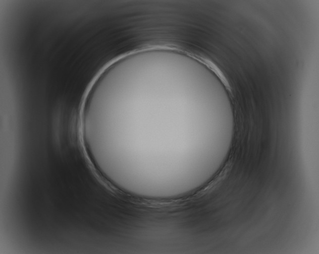 X0000099581132200805160740