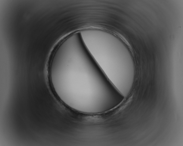 X0000099581133200805160740
