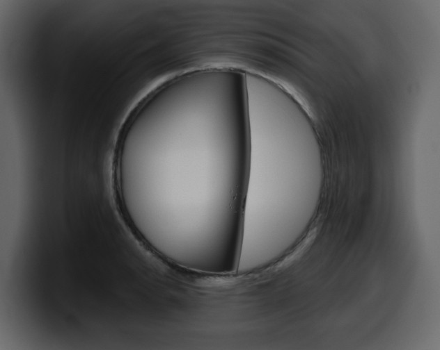 X0000099581134200805160740