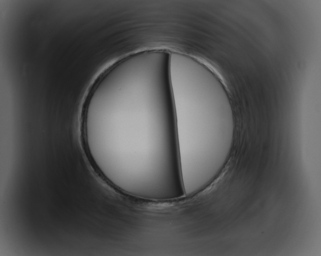 X0000099581135200805160740
