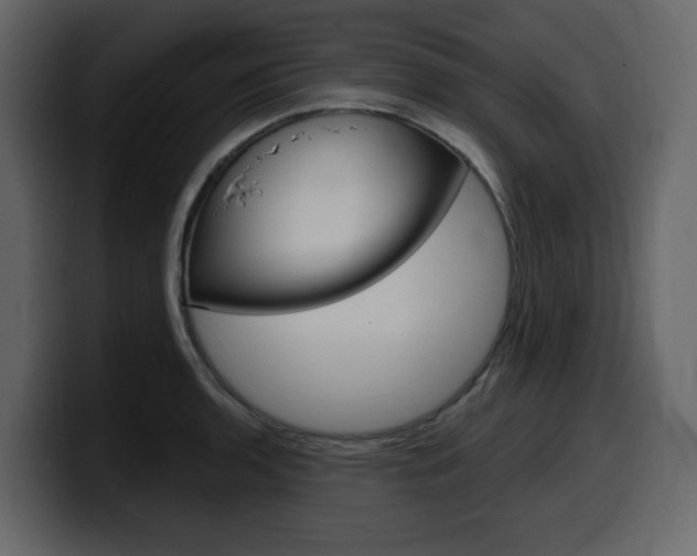 X0000099581136200805160740