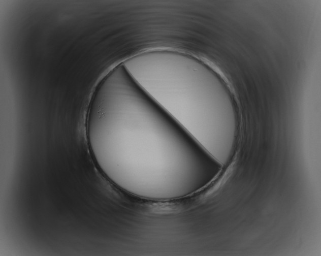 X0000099581137200805160740