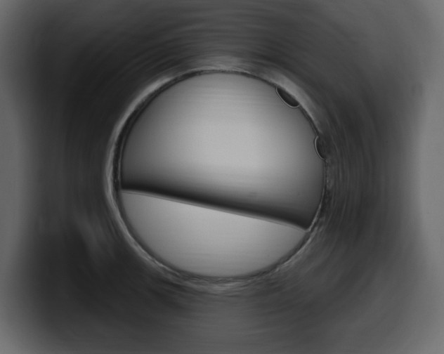 X0000099581139200805160740