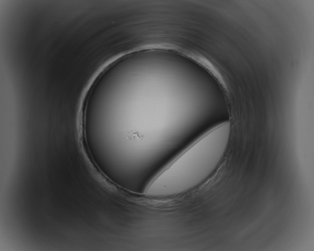X0000099581140200805160740