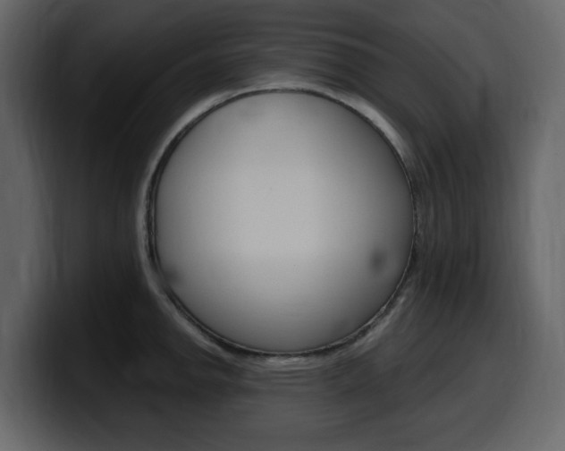 X0000099581142200805160741