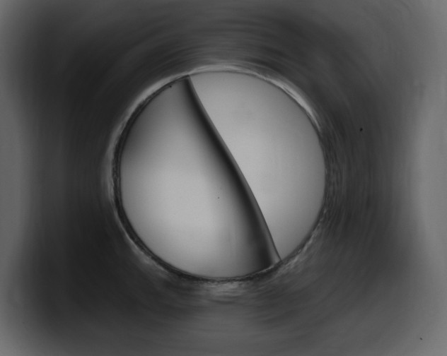 X0000099581143200805160741