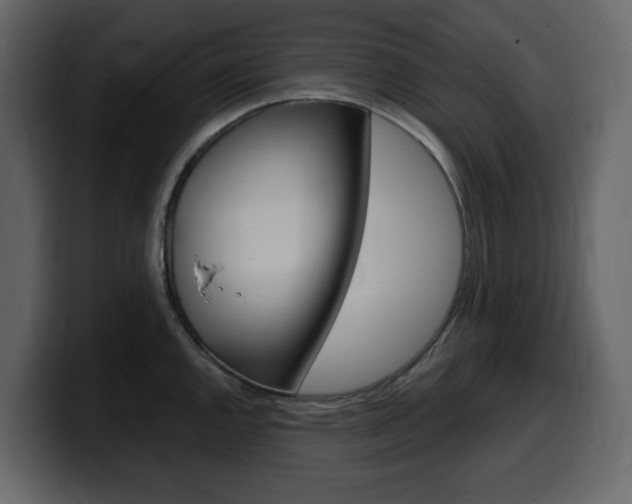 X0000099581144200805160741