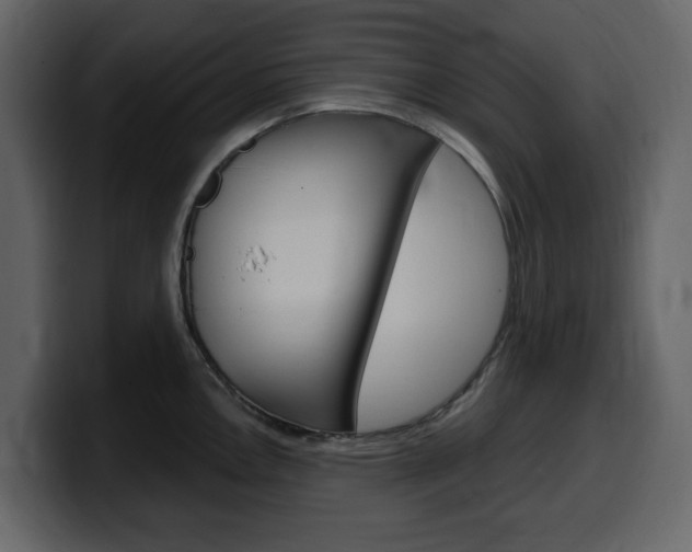 X0000099581146200805160741