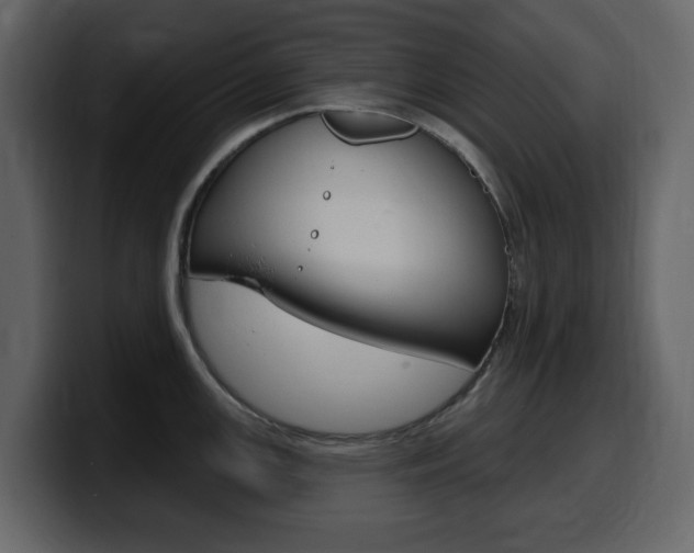 X0000099581147200805160741