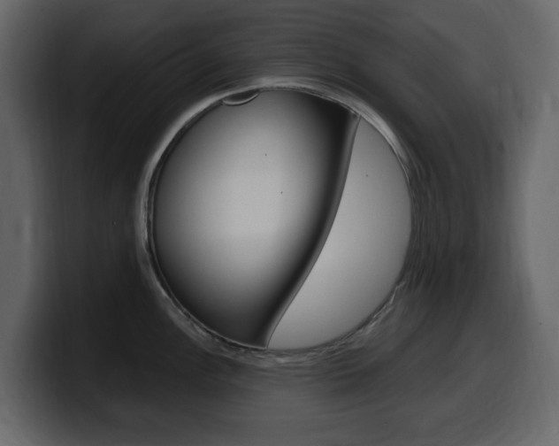 X0000099581148200805160741