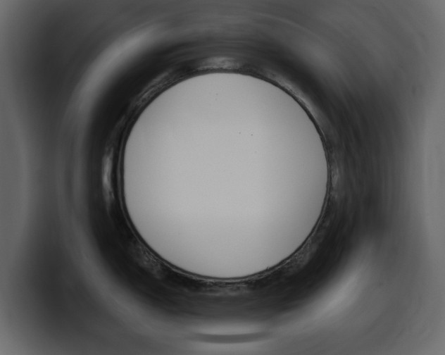 X0000099581150200805160741