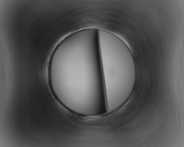 X0000099581151200805160741