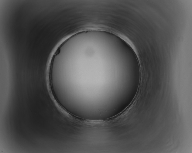 X0000099581152200805160741
