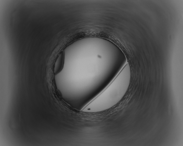 X0000099581153200805160740