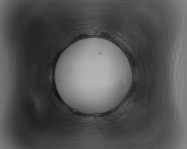 X0000099581154200805160740