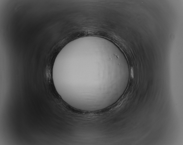 X0000099581155200805160740