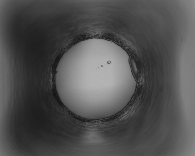 X0000099581156200805160740