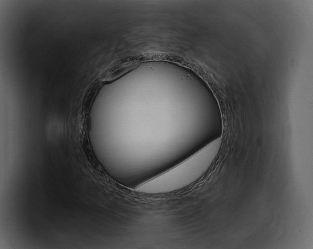 X0000099581157200805160740