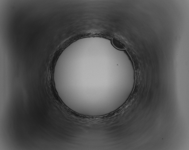 X0000099581158200805160740