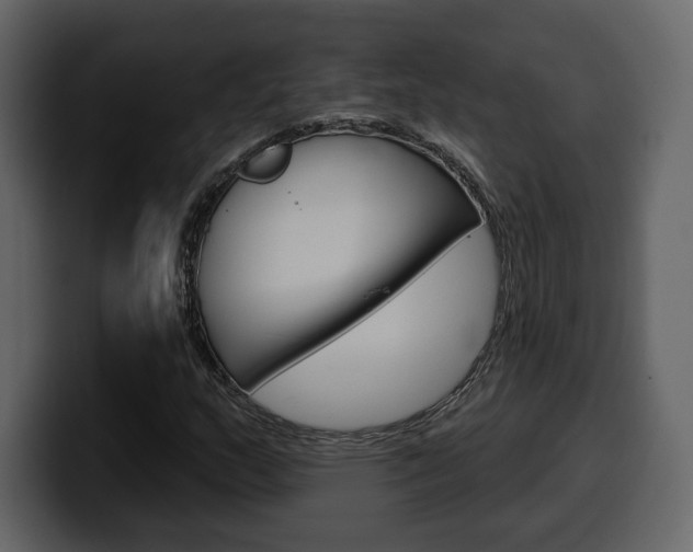 X0000099581159200805160740