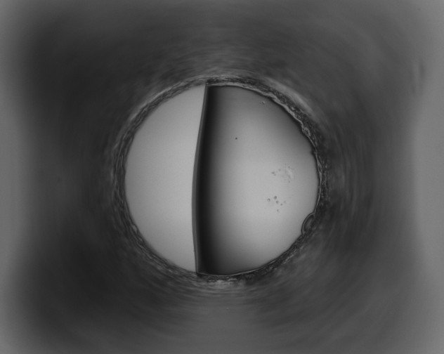 X0000099581160200805160740