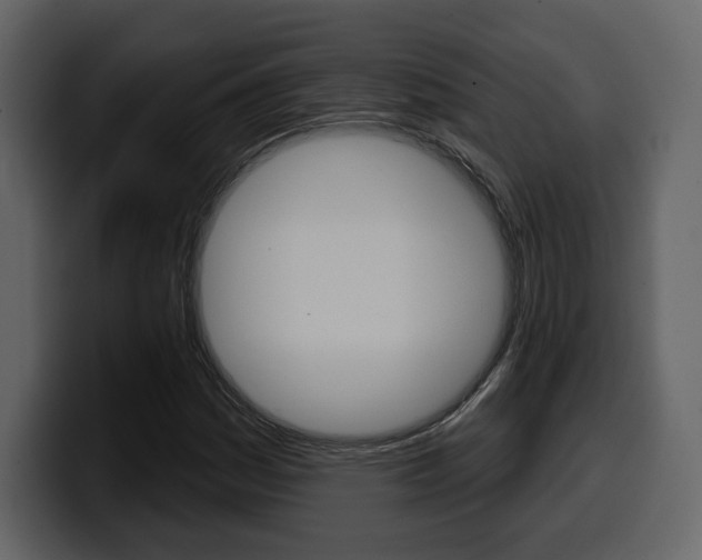 X0000099581161200805160740