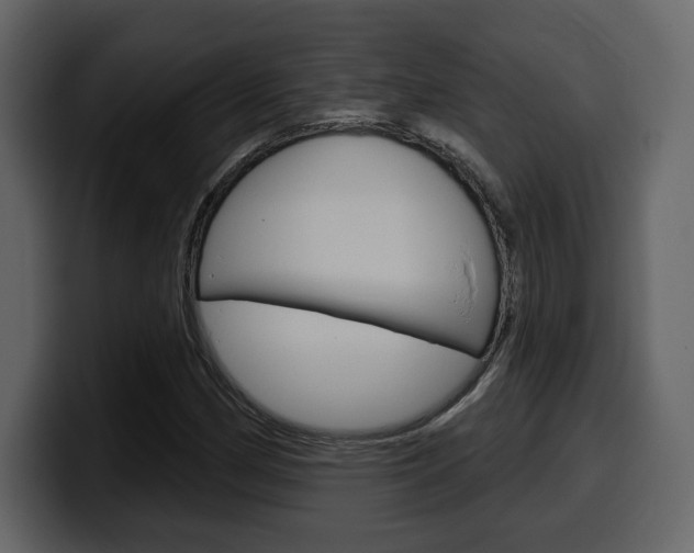 X0000099581162200805160740