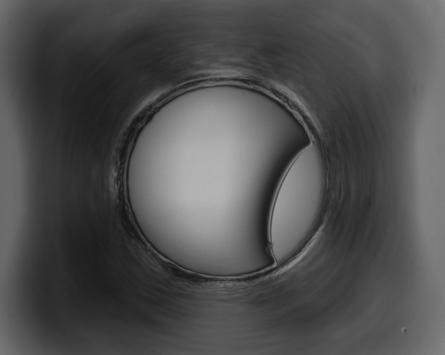 X0000099581163200805160740
