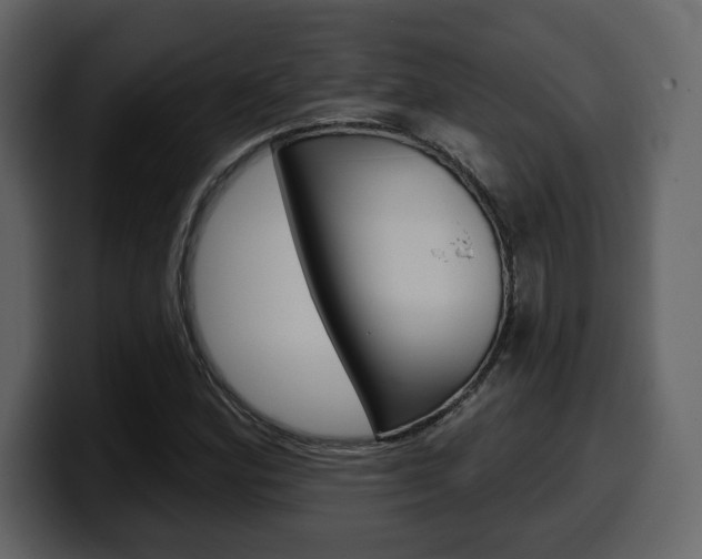 X0000099581164200805160740