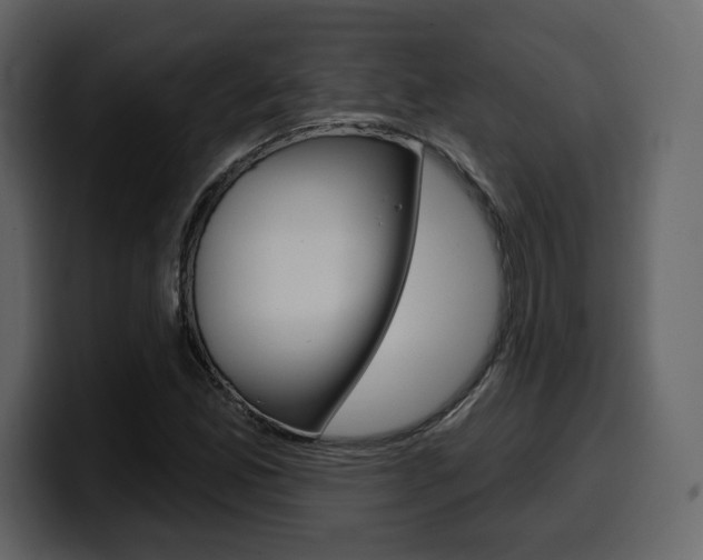 X0000099581165200805160740