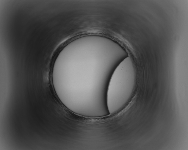 X0000099581166200805160740