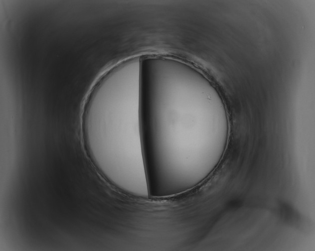 X0000099581168200805160740