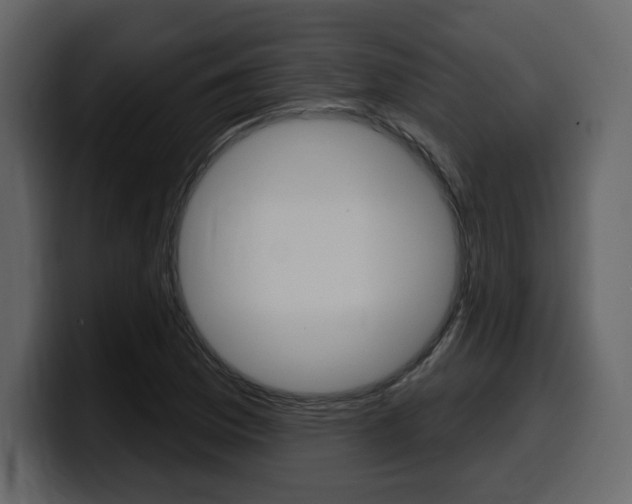 X0000099581169200805160740
