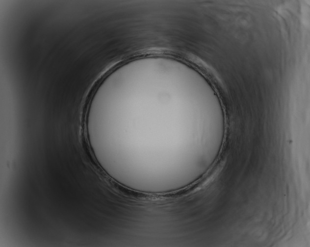 X0000099581170200805160740