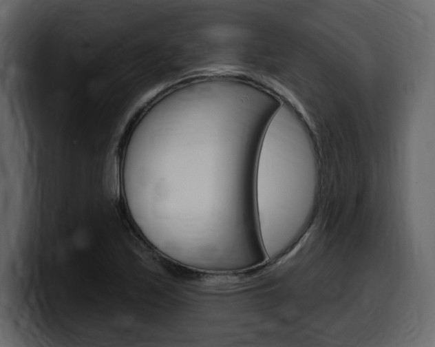 X0000099581171200805160740