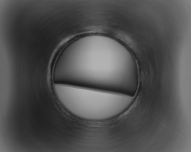 X0000099581172200805160740