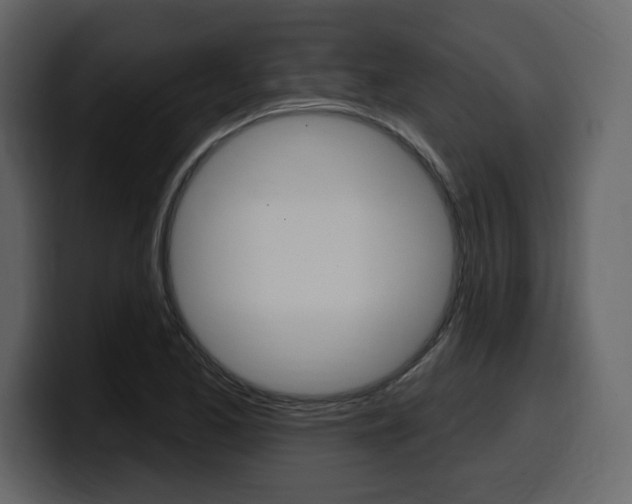 X0000099581173200805160740