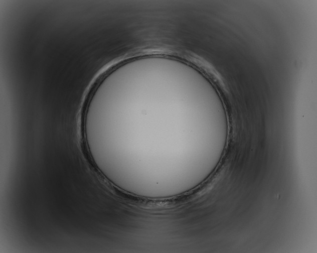 X0000099581174200805160740