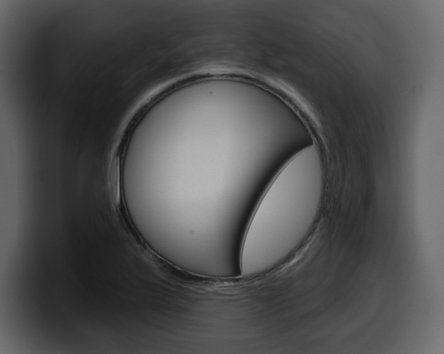 X0000099581175200805160740