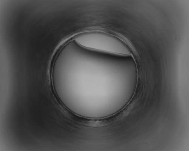 X0000099581176200805160740