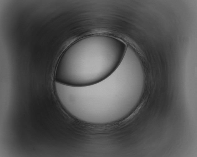 X0000099581177200805160740
