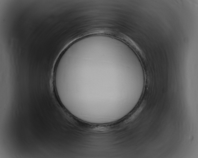 X0000099581178200805160740