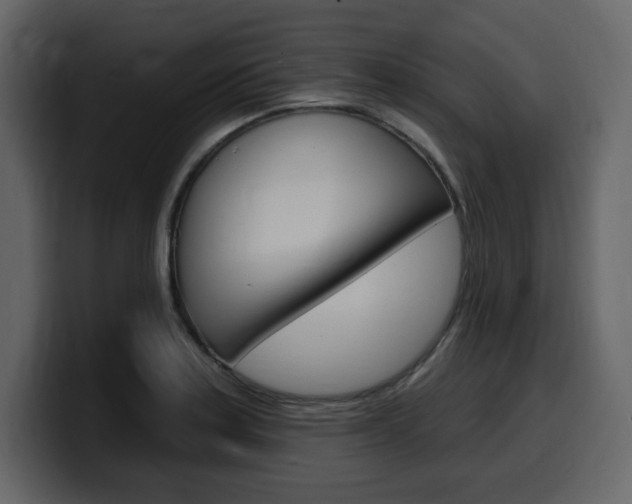 X0000099581179200805160740