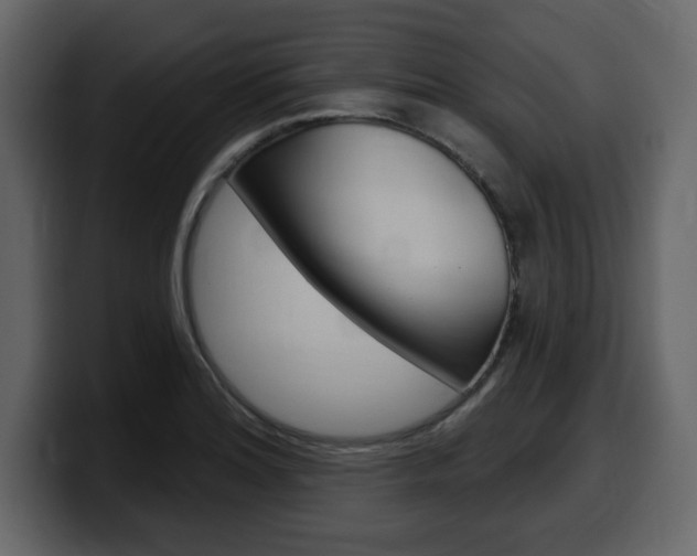 X0000099581180200805160740